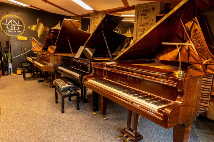Profitez d’un large choix de pianos de différentes gammes pour répondre à toutes vos envies. Que vous soyez débutant, pianiste confirmé(e) ou à la recherche d’un instrument d’exception.