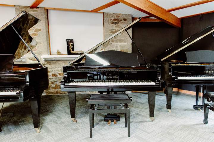 Vente de piano noir (1)
